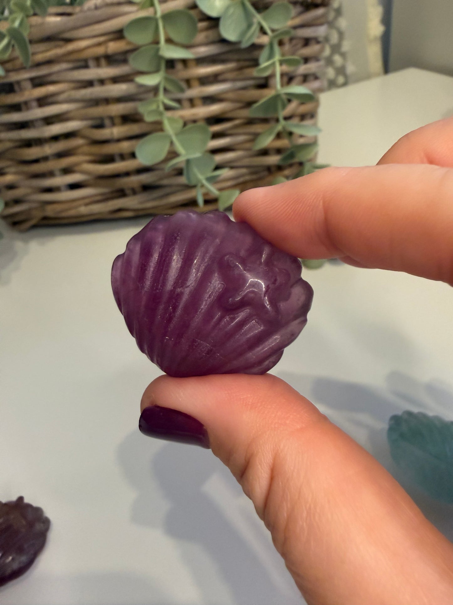 Fluorite Seashell with Starfish