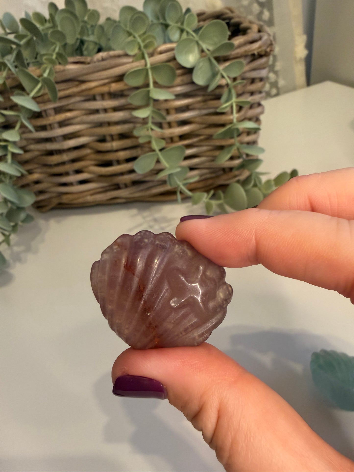 Fluorite Seashell with Starfish