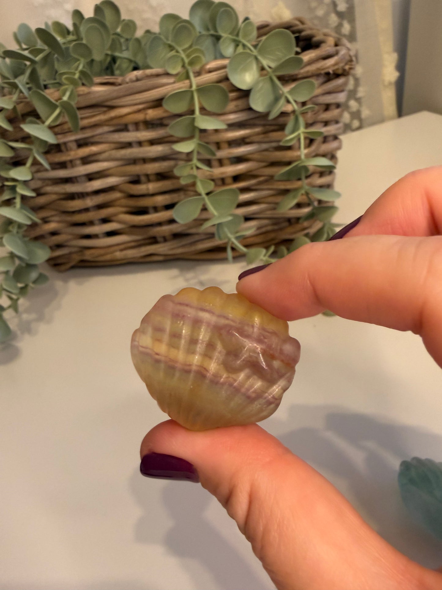 Fluorite Seashell with Starfish