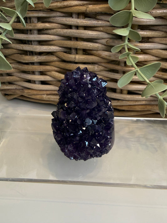 Amethyst Cluster